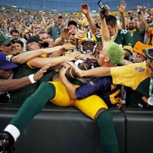 NFL fans