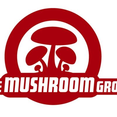 Mushroom Group Celebrates 40 Years, Unveils New Logo and Strategy
