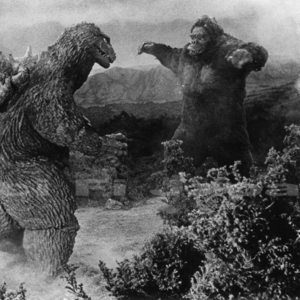 Godzilla v King Kong
