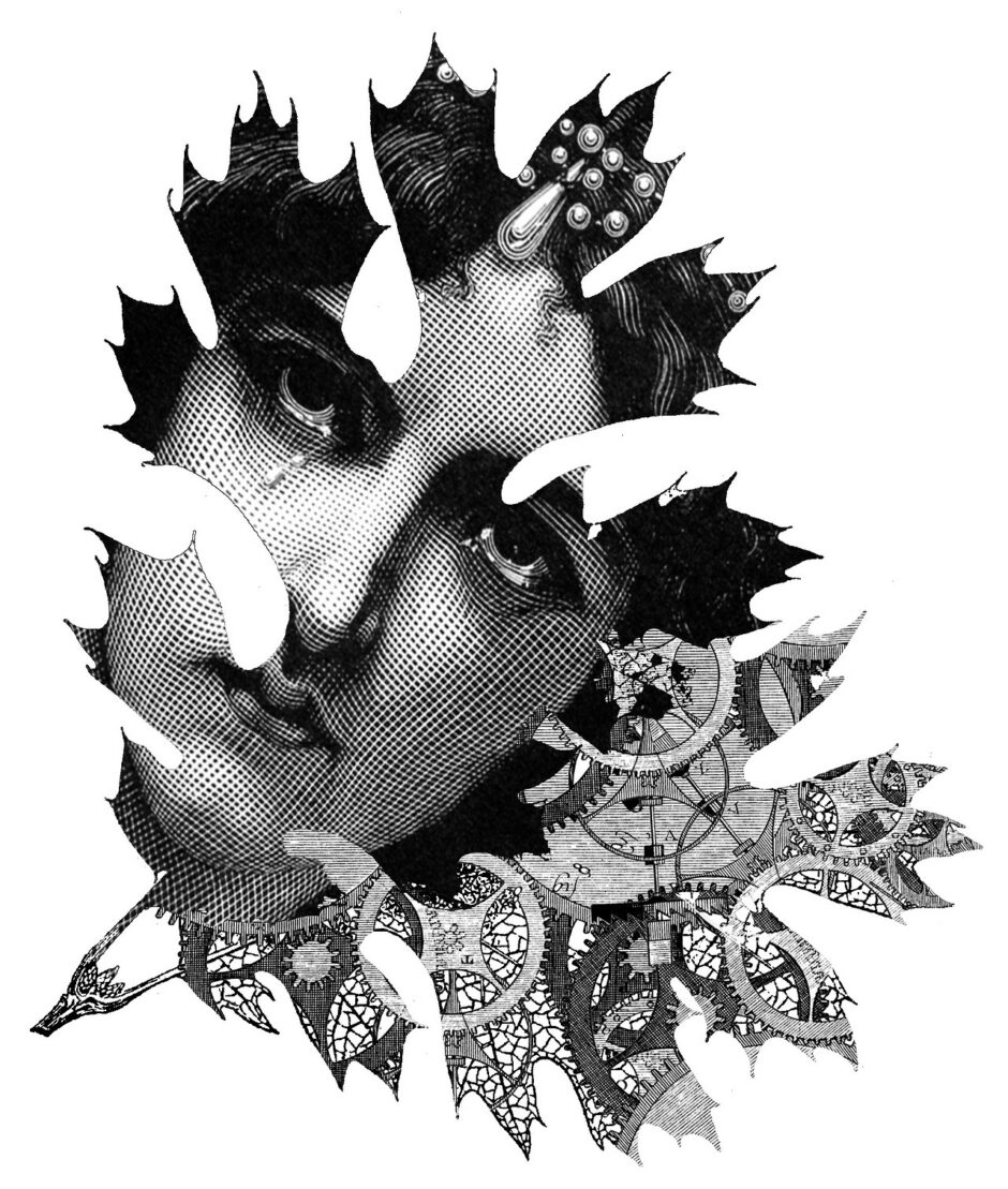 Art Room: Engravings & Collages By Paula Braconnot