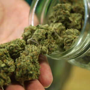 Weed analyser